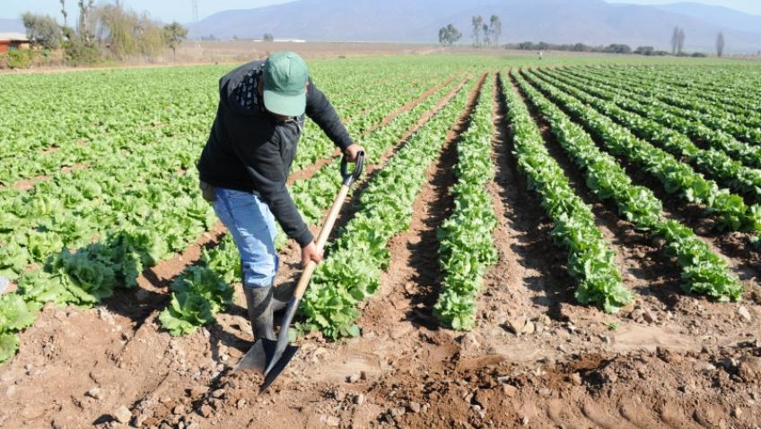 Agricultores Los Más Afectados Por Patricia • Panorama Agrario