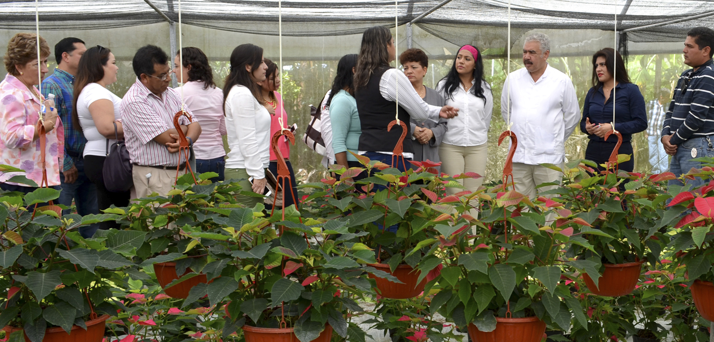 Inaugura Sedarpa curso-taller de cultivo de flor de nochebuena en Veracruz  • Panorama Agrario